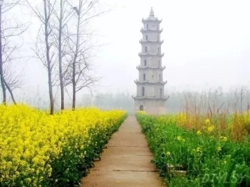 春暖花開南洞庭踏青、云夢七色花洲一日游  