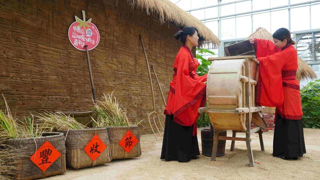 　益陽(yáng)天意木國(guó)+現(xiàn)代農(nóng)業(yè)嘉年華汽車(chē)一日游